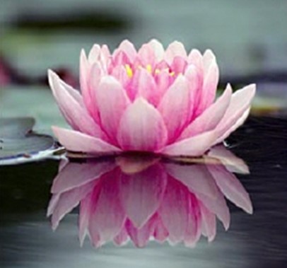 Mindfulness na rádio CBN